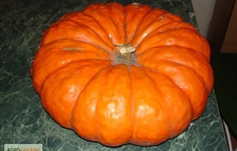 Продам семена Тыква Парижская красная