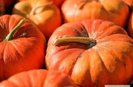 Продам семена Тыква Мускат де Прованс