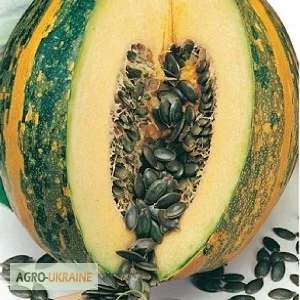 Продам семена Тыква голосемянная Гамлет