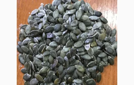 Пропонуються насіння гарбуза Голосємянка