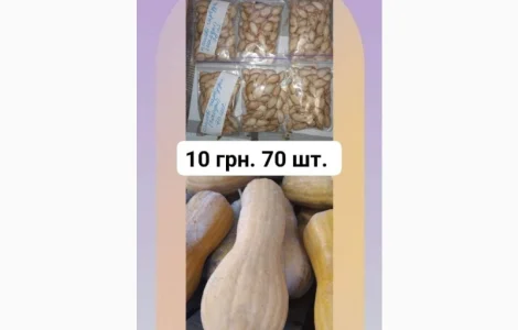 Кашові солодкі гарбузи, сімена, насіння 70 шт. 10 грн