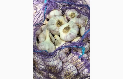 Куплю часник фракція від 4