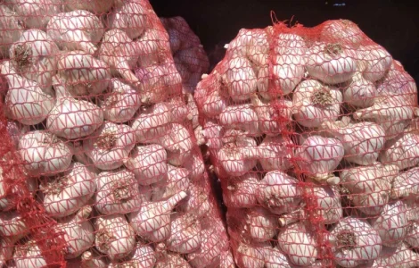 Куплю чеснок всех фракций и переработка