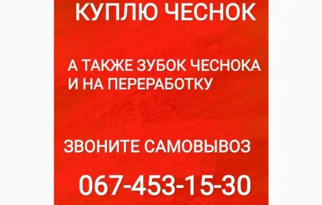 Куплю чеснок дорого