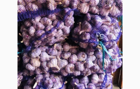 Куплю чеснок