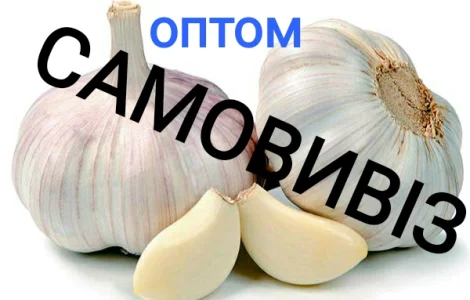 Куплю чеснок оптом. Заберём весь