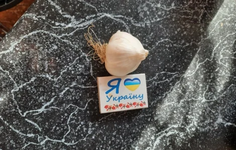 Продам Посівмат Турецький ярий Часник