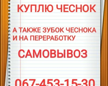 Куплю чеснок куплю чеснок