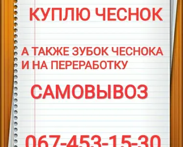 Куплю чеснок куплю чеснок