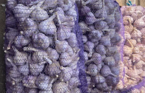 Куплю часник