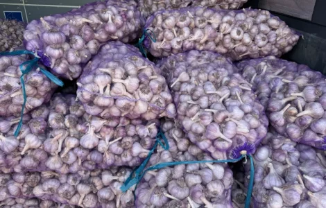 Продам часник/чеснок 3/4/5+ калібр