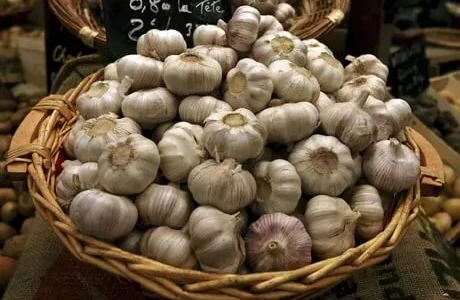 Куплю чеснок яровой