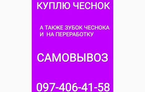 Куплю чеснок крупный средний мелкий