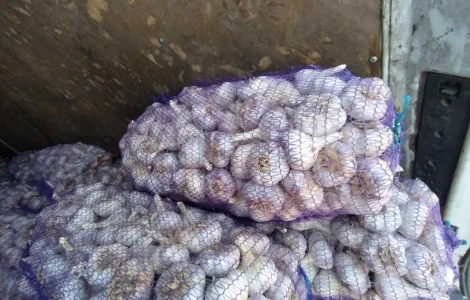 Закупаю чеснок. Приезжаем сами 0