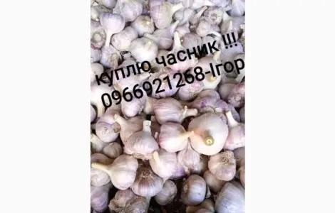 Часник куплю