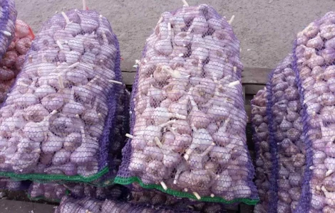 Куплю товарный чеснок