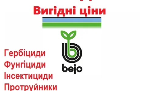 Продам фирменные качественные семена овощей - недорого, Bejo, Vilmorin, Никерсон цваан