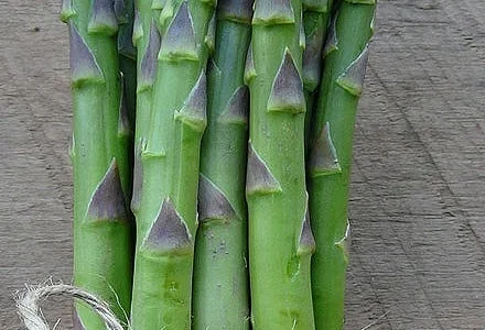 Семена спаржи Guelph Eclipse, Guelph Equinox, Guelph Millennium