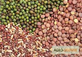 Продажа семян овощных культур: кабачки, помидоры, огурцы и др.