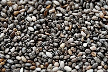 Семена чиа від виробника