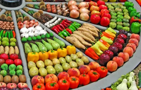 Продам семена овощей от производителей ОПТОМ ! Огурец