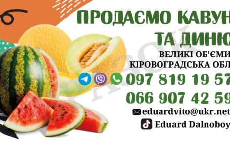 Продаємо кавуни та дині