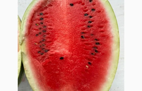 Продам кавуни Карістан 20т у Дніпропетровській обл Новомоск.рну солодкі та великі