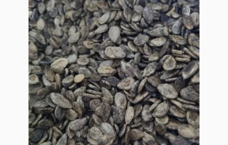 Насіння кавуна Чарльстон Грей