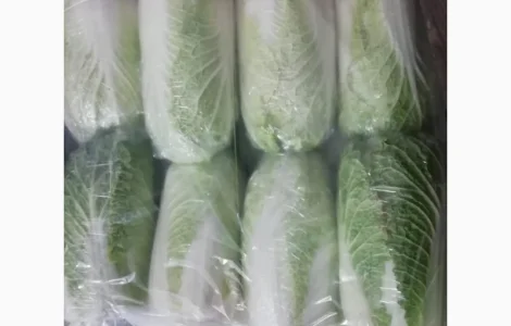 Продам пекинскую капусту від фермера. Від 5 тонн