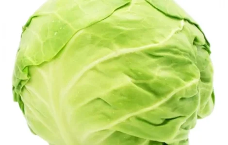 Куплю капусту оптом