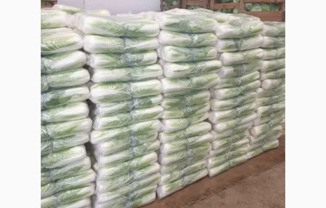 Пекінська капуста