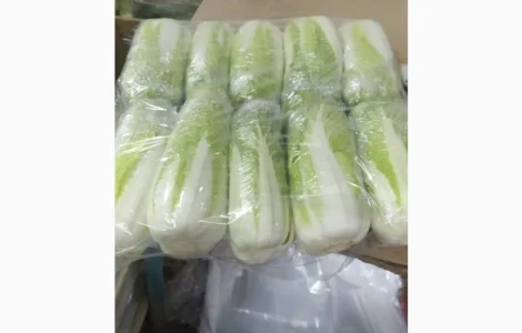 Пекінська капуста