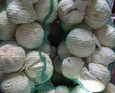 Продам оптом гарну товарну капусту