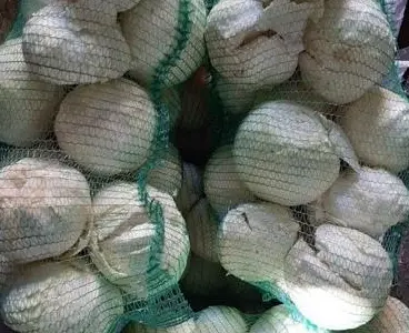 Продам оптом гарну товарну капусту