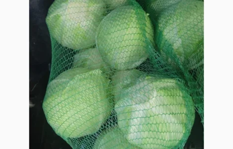 Продам товарну капусту оптом