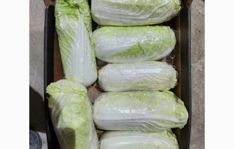 Продам пекінську капусту