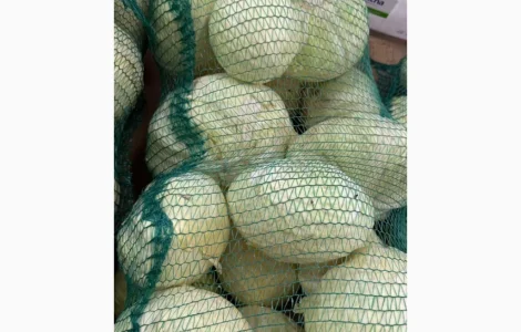 Продам капусту Хмельницька обл