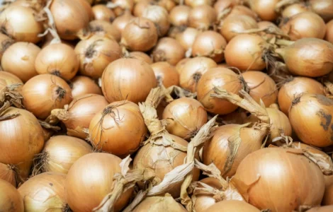 Цибуля Nation 1 сорт