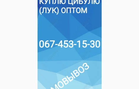 Куплю цибулю оптом