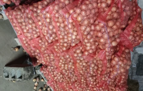 Продам цибулю 5-7