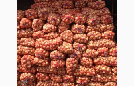 Продам лук штутгарт на перо