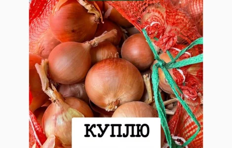 Куплю цибулю ОПТ Україна Борщ Набор