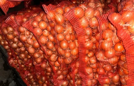 Продаємо цибулю оптом