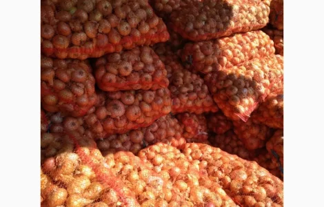 Штутгарт на перо