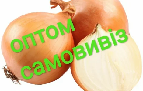 Куплю цибулю (лук) оптом