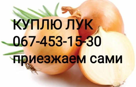 Куплю репчатый лук