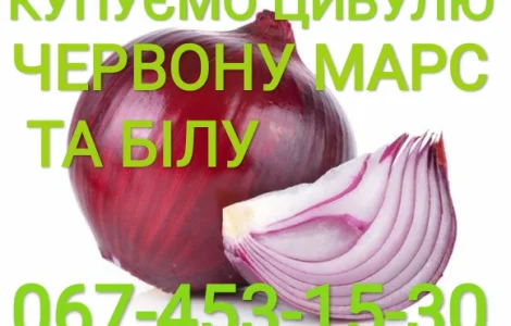 Куплю цибулю червону (Марс)