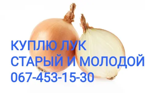 Куплю цибулю Об'эм