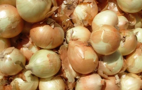 Продам цибулю 2 сорт оптом