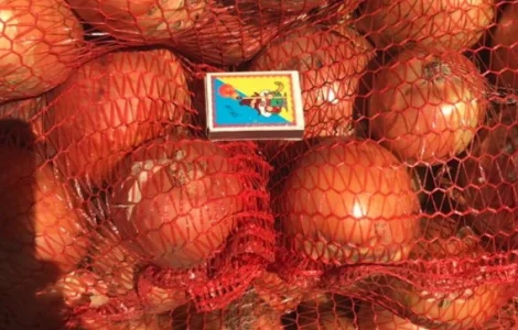 Гуртовий продаж товарної цибулі